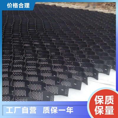 凸結(jié)點鋼塑土工格柵